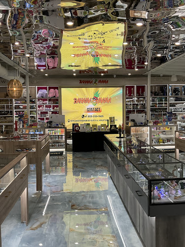 Bahama Mama Montrose Smoke Shop in Houston