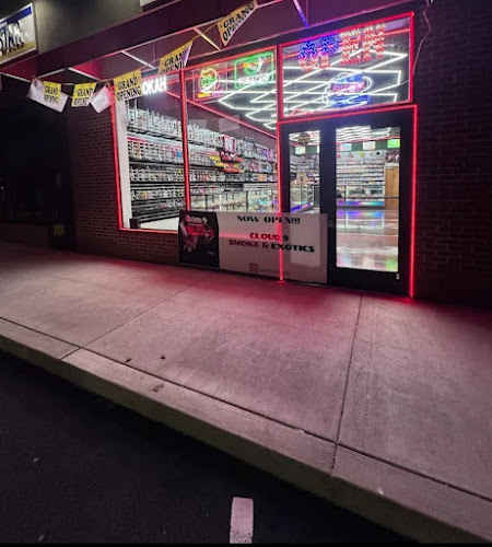 Cloud 9 Smoke & Exotics 3 in Fountain Hill