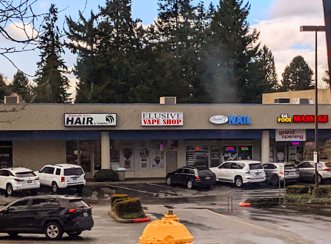 Elusive Mart and Vape in Renton