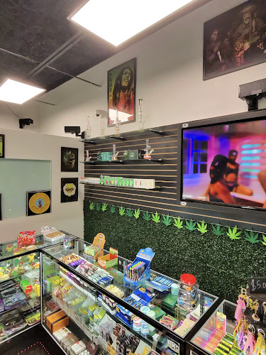 High Roll Smoke Shop in Sunrise