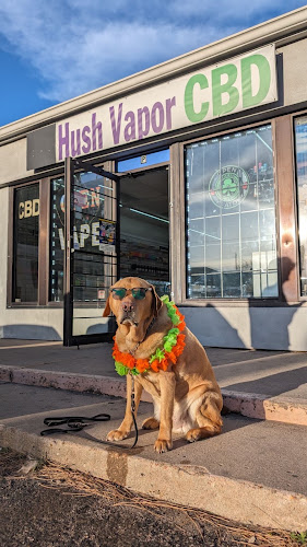 Hush Vapor in Denver