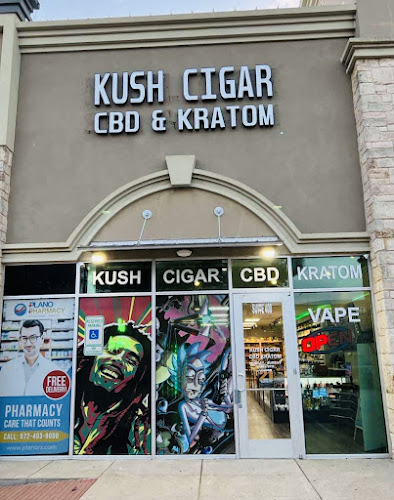 Kush Cigar Smoke Vape in Plano