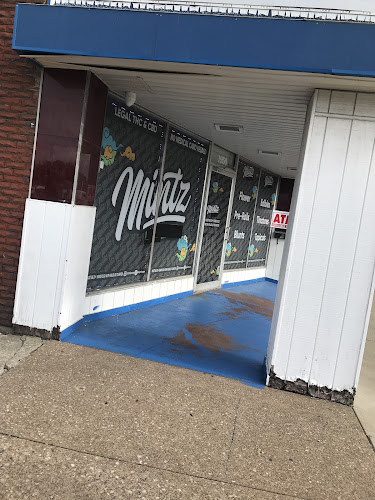 MINTZ Cannabinoid & Smoke Shop in Lorain