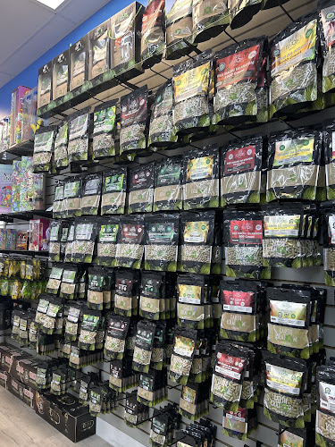 Mr. Smoke, Shop in Morehead City
