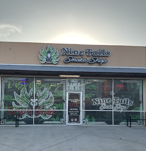Nine Tails Smoke Shop in Edinburg
