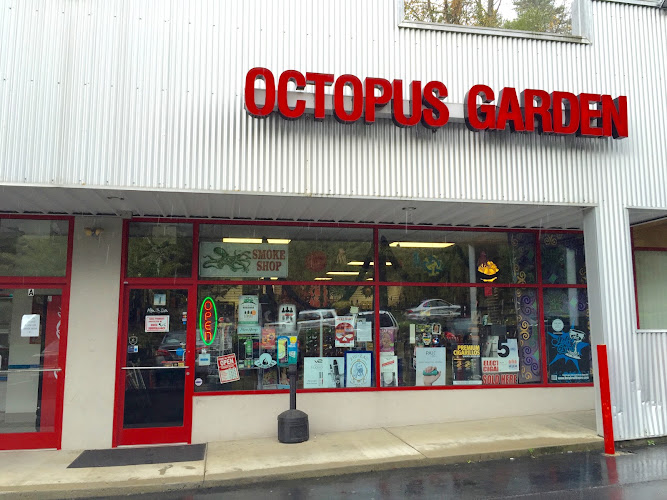 Octopus Garden Smoke Shop in Asheville