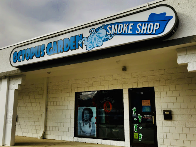 Octopus Garden Smoke Shop in Asheville