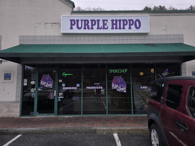 Purple Hippo of Pottsville in Pottsville