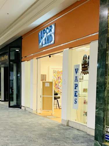 Vapor Land in Niles