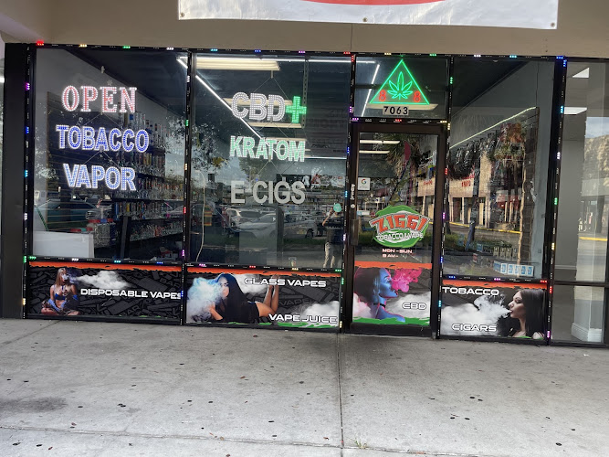 Ziggi Smok shop in Tampa